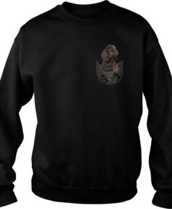 Dachshund in pocket sweatshirt