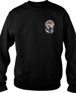 Hedgehog in pocket sweatshirt