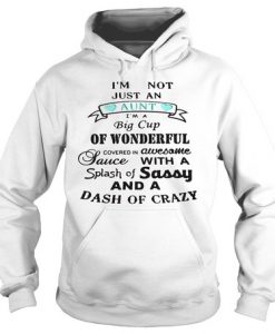 I’m not just an aunt i’m a big cup of wonderful hoodie