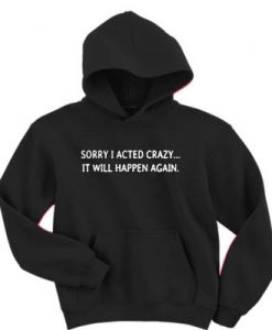 Sorry I acted crazy it will happen again hoodie