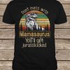 Sun Silhouette Don't Mess With Mamasaurus You'll Get Jurasskicked t shirt