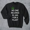 Weed no one belongs in jail for a plant sweatshirt