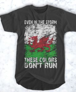 Even In The Storm These Colors Don't Run t shirt