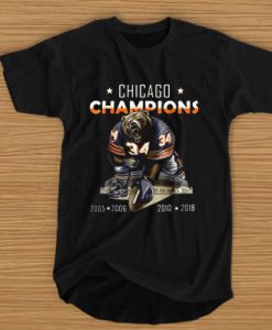 Chicago champions bear 34 2005 2006 2010 2018 t shirt