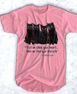 First We Steal Your Heart Then We Steal Your Bed Sofa t shirt