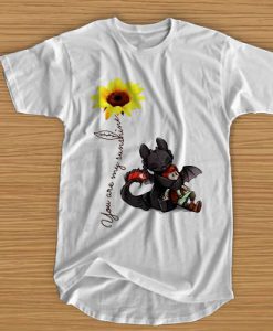 Toothless and hiccup Dragon you are my sunshine t shirt