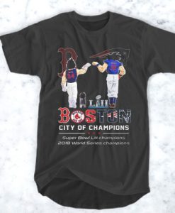 Goku and Vegeta Super Bowl Boston t shirt