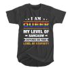 I am Queer my level of sarcasm depends on your level of stupidity t shirt