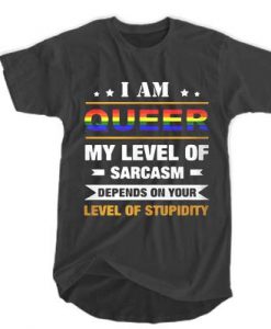 I am Queer my level of sarcasm depends on your level of stupidity t shirt