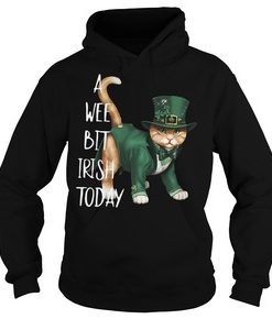 Cat a wee bit Irish today hoodie