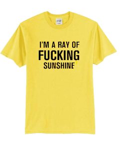 I'm A Ray Of Fucking Sunshine t shirt